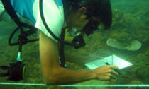 Diver doing a reef check