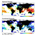 Global Study Reveals New Hotspots of Fish Biodiversity
