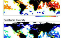 biodiversity density graph