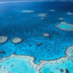 Great Barrier Reef: UNESCO defends 'in danger' declaration