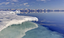 Arctic Waters