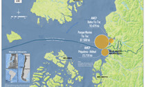 Map of Chilean Whale Reserve