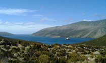 Campbell Island, New Zealand