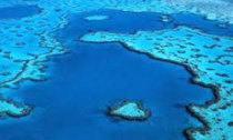 great barrier reef