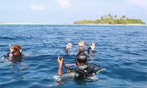 Veligandu diving