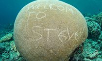 Coral vandalism