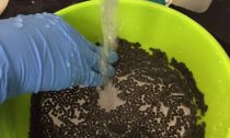 Tiny beads being soaked