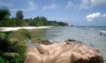 A beach in the Seychelles