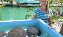 Erinn Muller is science director at the Mote Marine Lab in the Florida Keys