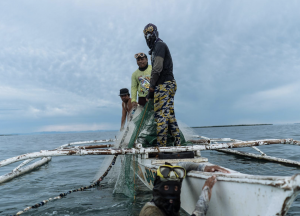 Fisherman in Bohol