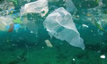 marine plastics and debris