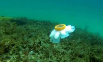 The robotic jellyfish propel themselves with rubber tentacles