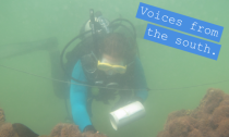 Field work in murky water to illustrate how Brazilian reefs surrounded by murky water due to a greater river input to coastal waters