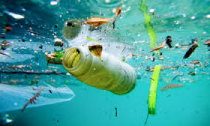 Plastic polluting the Oceans