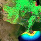 Scientists predict huge ‘dead zone’ in Gulf of Mexico