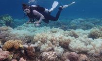 Great Barrier Reef