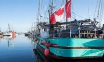 Canada's fisheries are in trouble