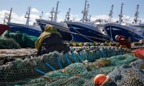 Scottish pelagic ships at Fraserburgh harbour