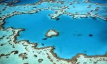 A coral reef impacted by a severe bleaching event