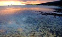 Maunalua Bay in Hawaii, where CSUN marine biologist Nyssa Silbiger and her colleagues found that submarine groundwater discharge is changing the metabolism of coral reefs ecosystems. Photo by Doug Harper.