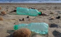 Plastic bottles and bottle caps are among the most frequent items found along Mediterranean shores