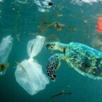UN countries agree to create 'historic' treaty to fight plastic pollution