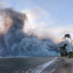 Concern for Coral Reefs after Maui Fires